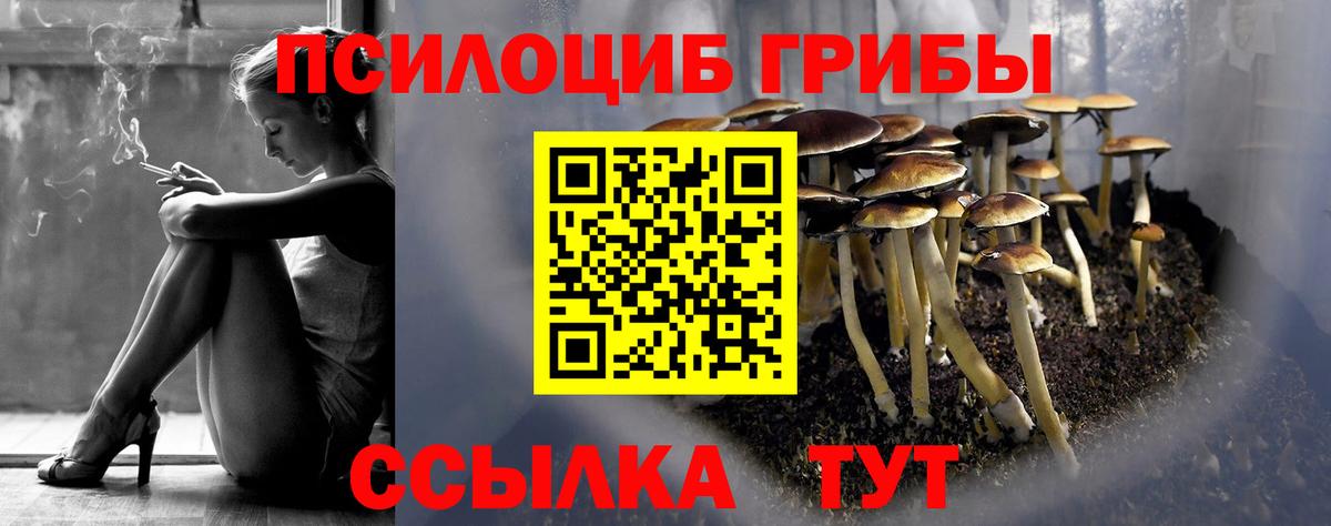 Кандалакша  Галлюциногенные грибы прущие грибы  Вход с VPN  Галлюциногенные грибы прущие грибы 