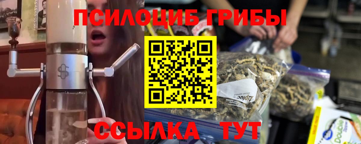 Псилоцибиновые грибы прущие грибы Кандалакша